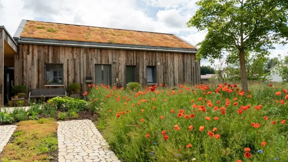 Beispielbild Garten und Landschaftsbau, Holzhaus vor einer Blumenwiese